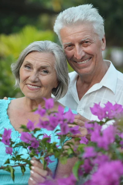 Äldre par i sommaren park — Stockfoto