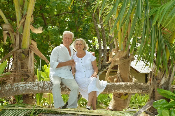 Casal de idosos descansam no resort tropical — Fotografia de Stock