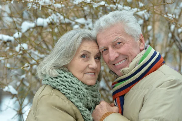 Senior paar winter in de open lucht — Stockfoto