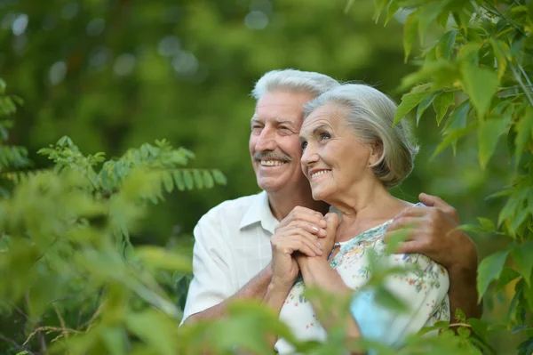 Ouder paar in zomer park — Stockfoto