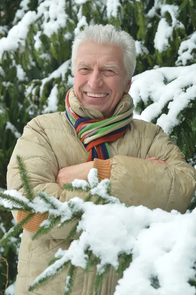 冬に立っている年配の男性 — ストック写真