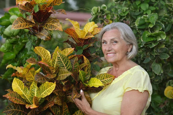 在热带花园的老太太 — 图库照片