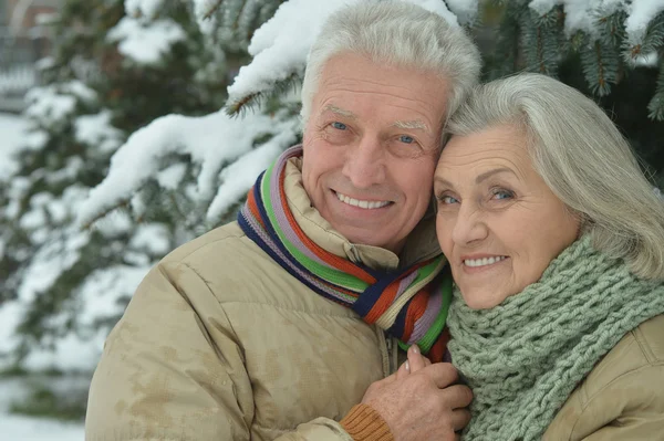 Pareja mayor en invierno al aire libre — Foto de Stock