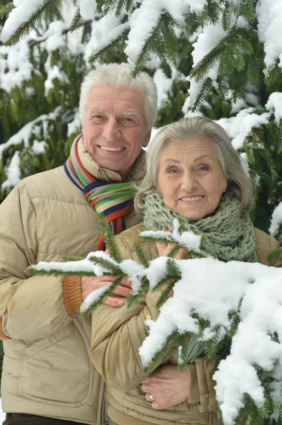 Senior paar winter in de open lucht — Stockfoto