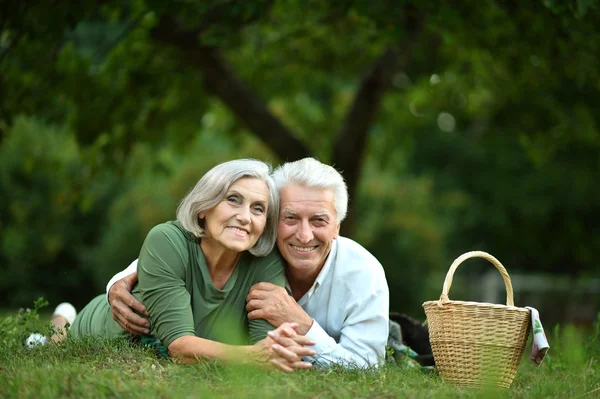 Paar met picknick — Stockfoto