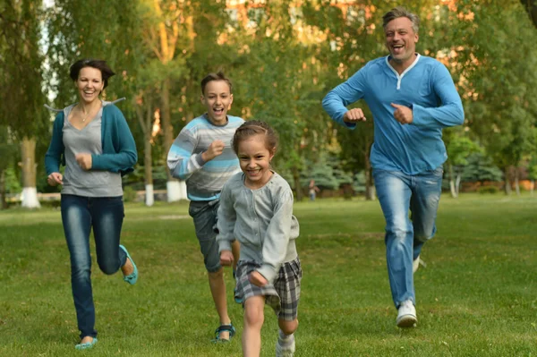 Aile yeşil yaz parkta — Stok fotoğraf