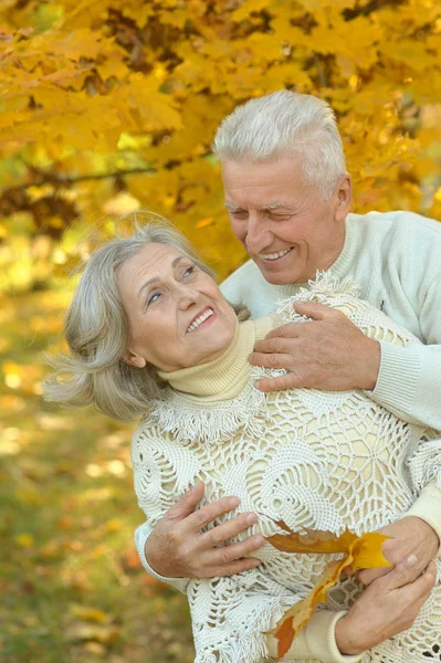 Pareja mayor en el parque de otoño — Foto de Stock