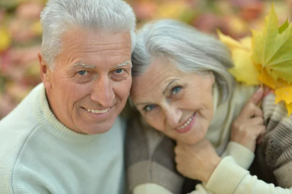 Senior par i höstparken — Stockfoto