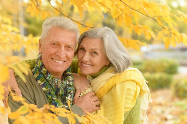 Idős pár az őszi parkban — Stock Fotó