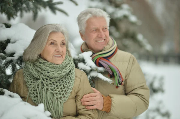 Pareja mayor en invierno al aire libre — Foto de Stock