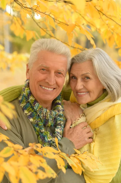 Seniorenpaar in herfstpark — Stockfoto