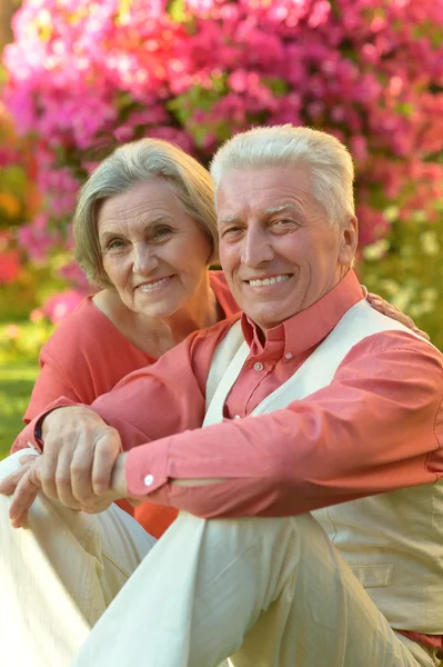 Pareja mayor en el parque de verano — Foto de Stock