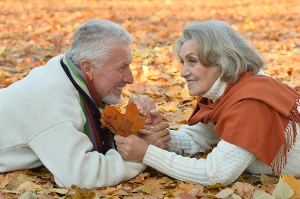 Casal sênior no parque de outono — Fotografia de Stock