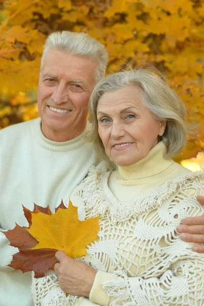 Senior Par i efteråret park - Stock-foto