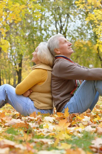 Coppia Senior nel parco autunnale — Foto Stock