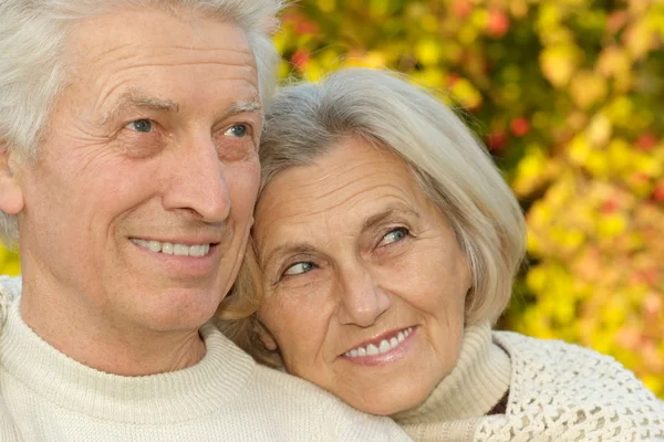 Senior couple in autumn park — Stock Photo, Image