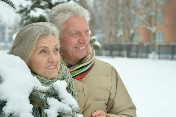 Senior couple at winter outdoors — Stock Photo, Image