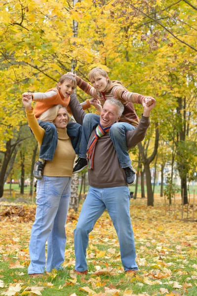 Älteres Ehepaar und Enkelkinder — Stockfoto