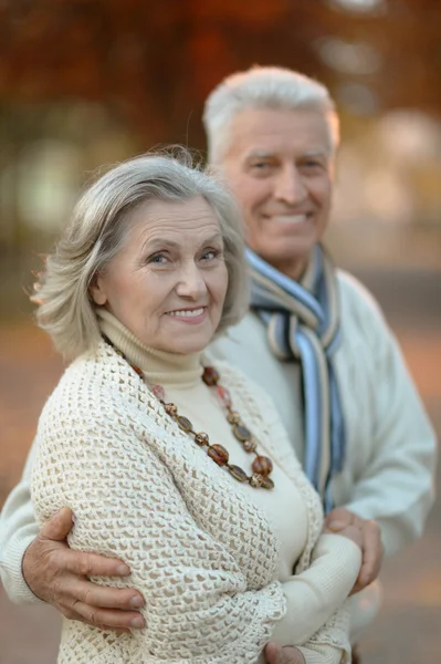 Senior couple in autumn park — Stock Photo, Image