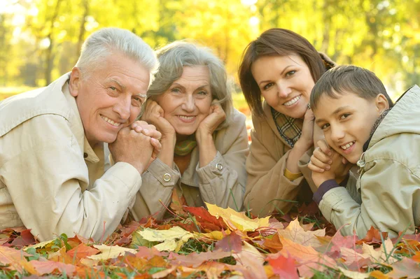 Familia feliz descansando en el parque —  Fotos de Stock