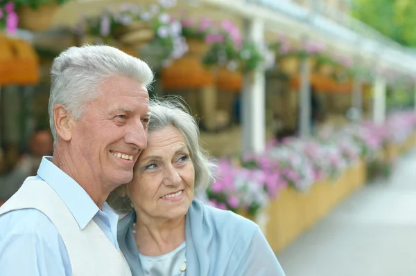 Casal sênior no parque de verão — Fotografia de Stock