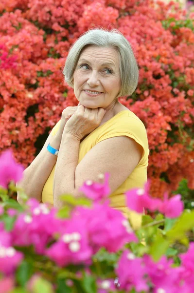 Beautiful senior woman outdoor — Stock Photo, Image