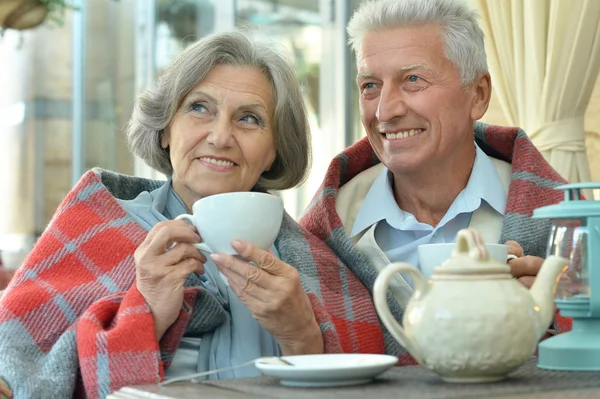 Oudere echtpaar drinken thee — Stockfoto