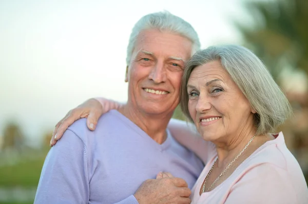 Mature couple with laptop — Stock Photo, Image