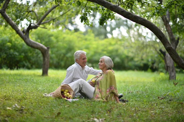 Staruszkowie na piknik, rozrywkowy — Zdjęcie stockowe