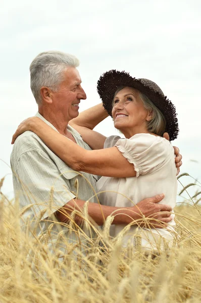 Pareja mayor en el campo de verano —  Fotos de Stock