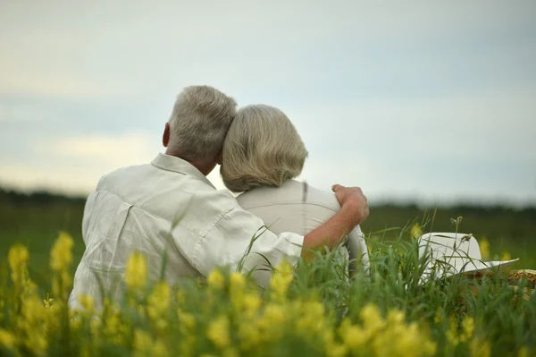 Casal sênior no campo de verão — Fotografia de Stock