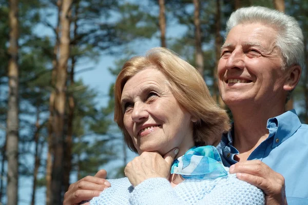 Elderly couple in forest — Stock Photo, Image