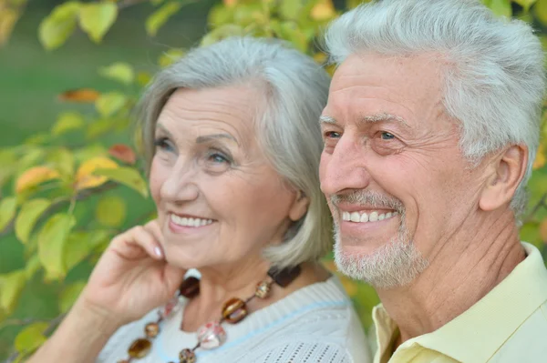 Casal sênior no parque de outono — Fotografia de Stock