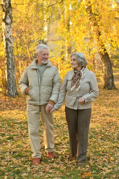 Senior par i höstparken — Stockfoto