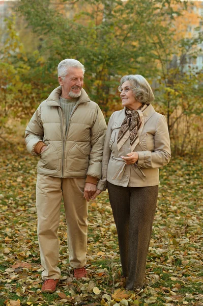 Pasangan senior di taman musim gugur — Stok Foto