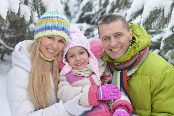 Gelukkige familie bij winterdag — Stockfoto