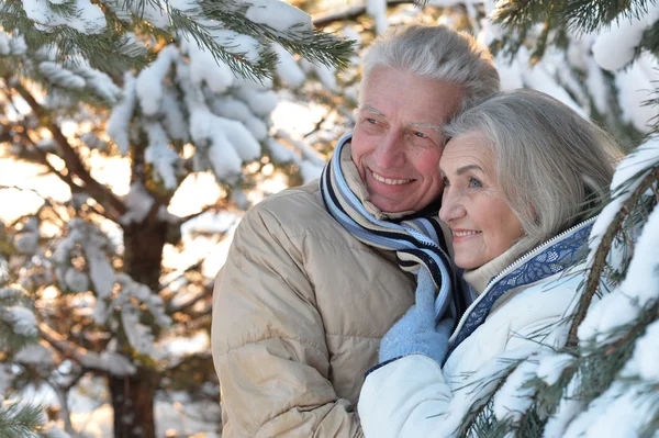 senior couple at winter outdoors