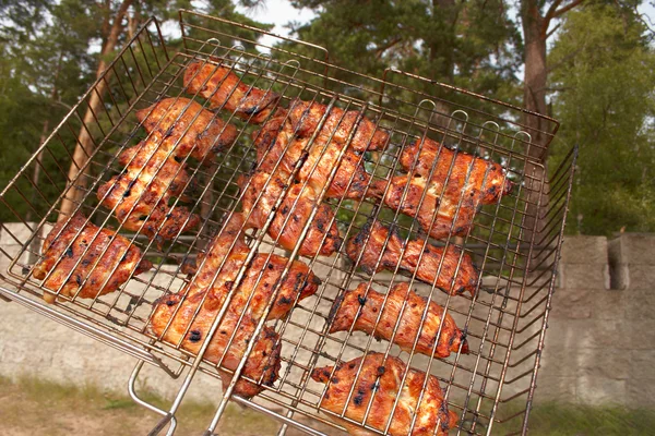 Grill — Stock Photo, Image