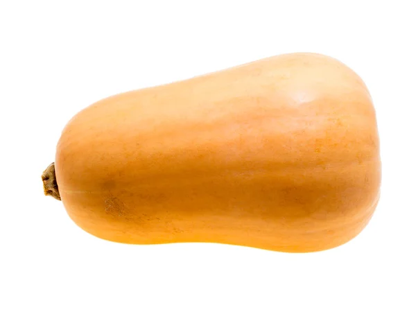 Isolato Zucca Bianca — Foto Stock