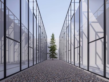 Cam duvarlar arasında çam ağacı olan bir nehir taşı bahçesi.