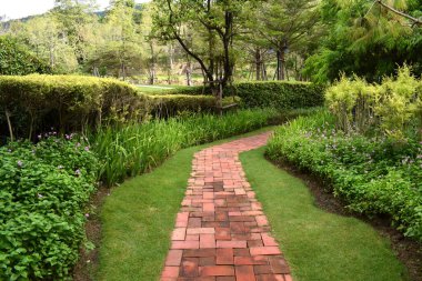 Yeşil, yemyeşil bir yolda kırmızı yürüyüş.