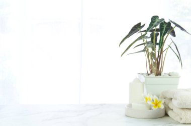 Minimum stil sabun tutacağı ve parlak bir banyoda lüks taş mermer bir masanın üstünde havlu. Saksı bitkileri, çiçekler ve mumlarla süslenmiş, pencere arka planında bulanık bir perde var.