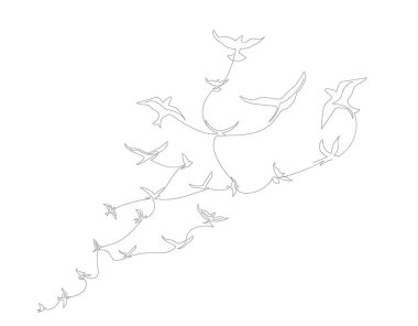 Uçan bir kuş sürüsüyle aralıksız çizgiler çiziyor. Özgürlük Hattı sanatı. Siyah ve Beyaz vektör tasarımı