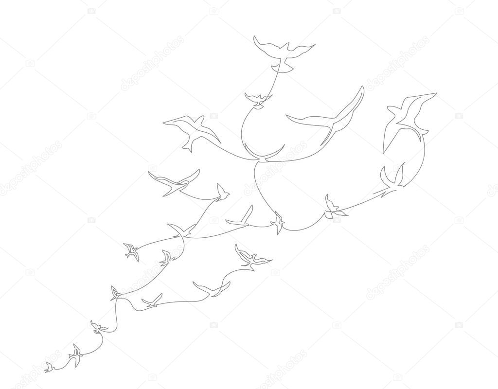 continuous line drawing with A flock of flying birds. Freedom Line art. Black and White vector design