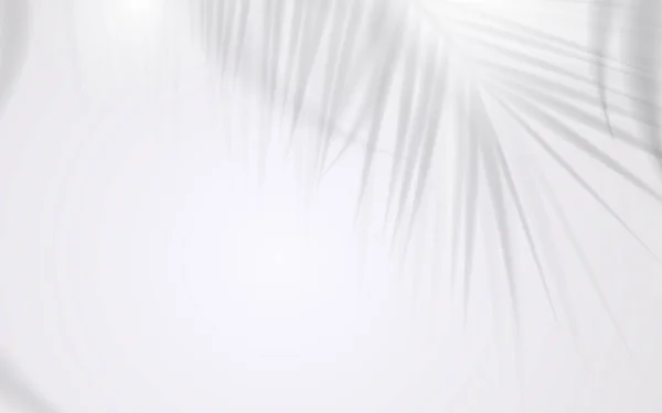 Shadow Coconut Leaf White Background Vector Illustration — Image vectorielle