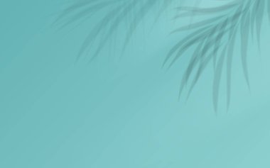 Yumuşak mavi arka planda Hindistan cevizi yaprağının gölgesi. Vektör illüstrasyonu