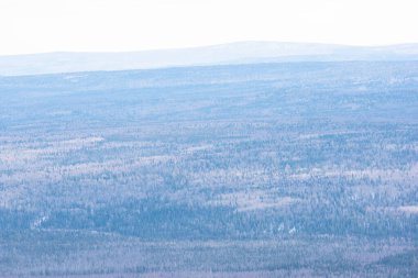 Kış manzarası. Kış dağı. Kış tatili Ural dağı.