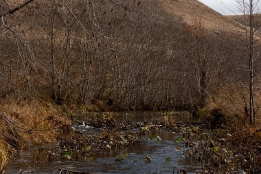 Nehir ve ağaçlarla dolu sonbahar gri manzarası. Bulutlu bir gün. Sonbahar sonu.