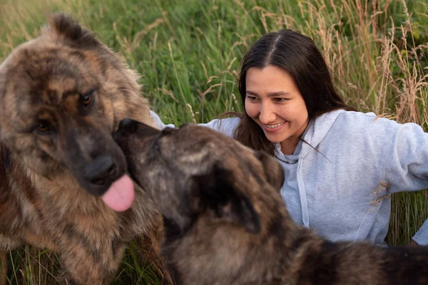 Jovem Mulher Brincando Com Dois Adoráveis Cães Natureza — Fotografia de Stock