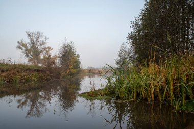 Nehrin üzerinde ağaçlarla birlikte hafif bir sis var. Su yüzeyindeki yansımalar. Peyzaj.